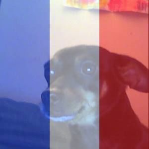 Meet your Posher, Marth